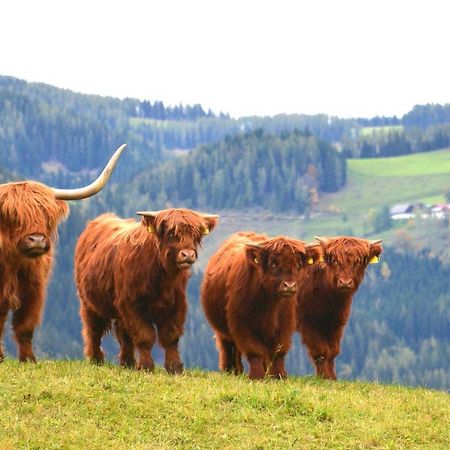 Fruehstueckspension Ochnerbauer Kindberg Exteriér fotografie