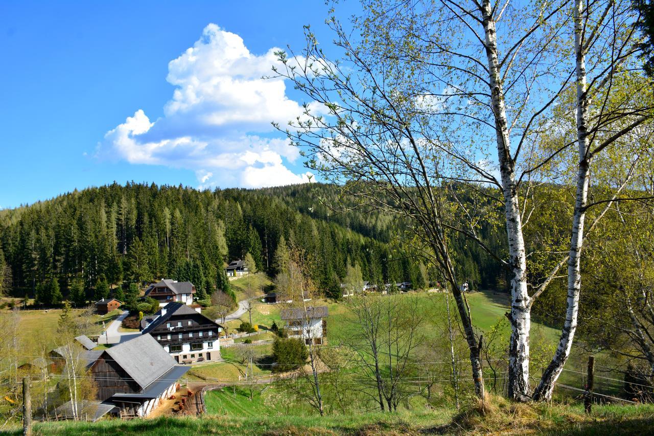 Fruehstueckspension Ochnerbauer Kindberg Exteriér fotografie