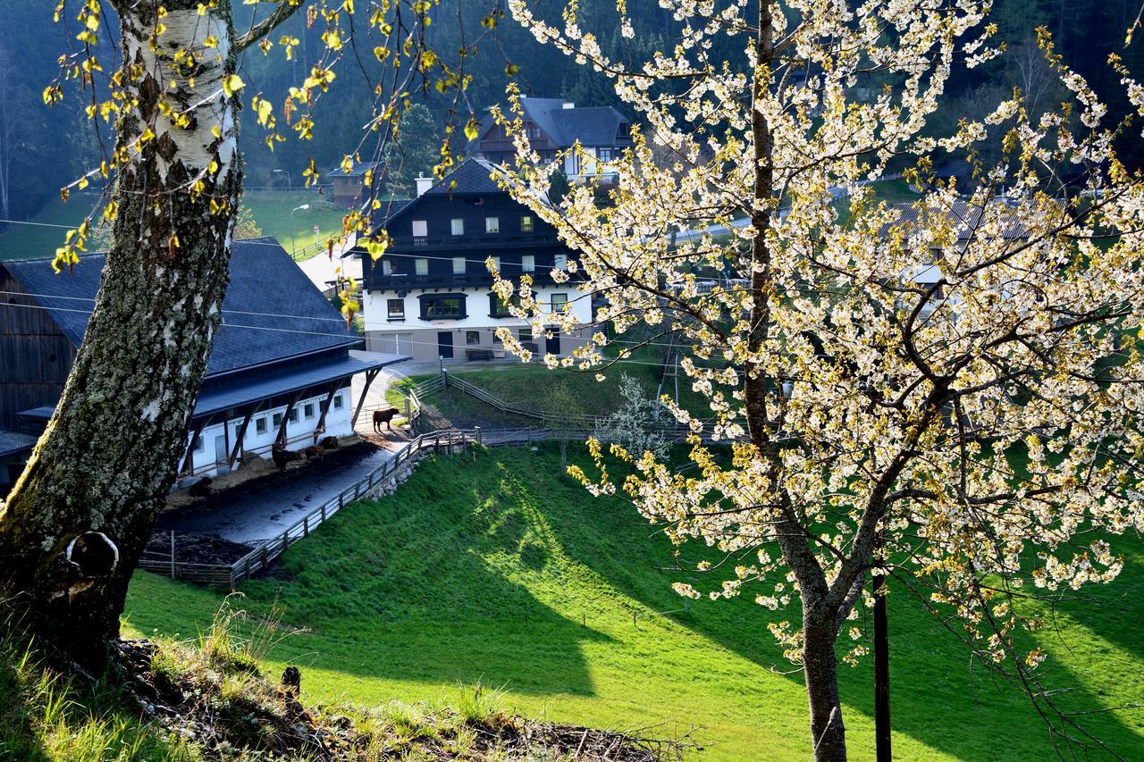 Fruehstueckspension Ochnerbauer Kindberg Exteriér fotografie